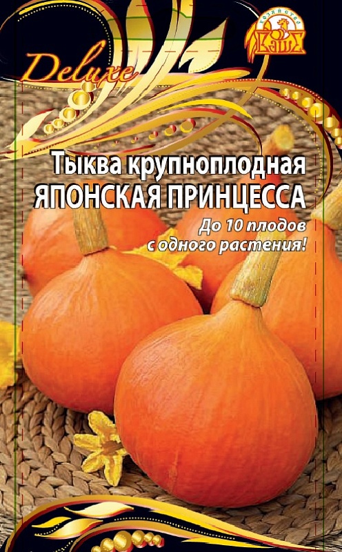 Тыква крупноплодная Японская принцесса (Селекция "ВХ") 2 гр. цв.п.